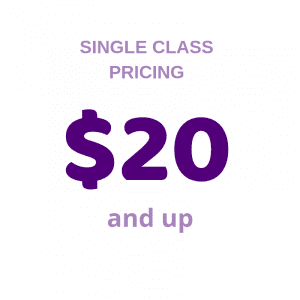 picture of the $20 single class